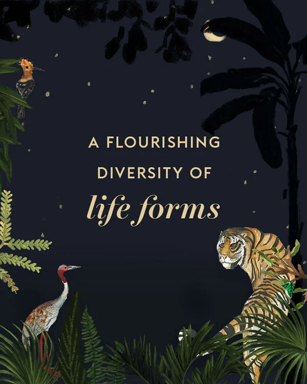 A Flourishing Diversity of Life Forms Masculine Men's 